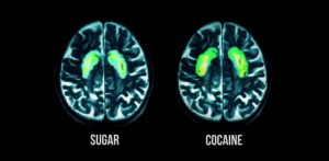 sucre plus addictif que la cocaine